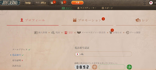 ジョイカジノ認証3
