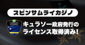 スピンサムライのライセンス
